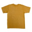 画像3: MUSTARD YELLOW (3)